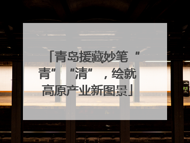 青岛援藏妙笔“青”“清”，绘就高原产业新图景