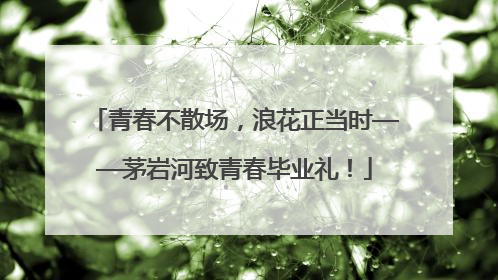 青春不散场，浪花正当时——茅岩河致青春毕业礼！