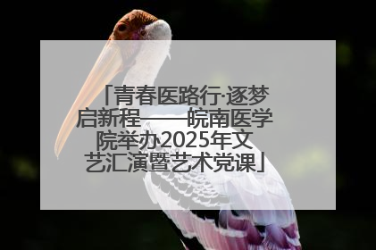 青春医路行·逐梦启新程——皖南医学院举办2025年文艺汇演暨艺术党课