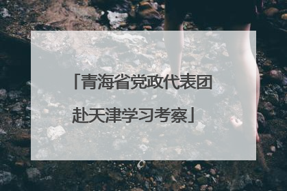 青海省党政代表团赴天津学习考察