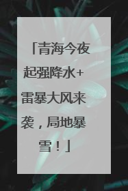 青海今夜起强降水+雷暴大风来袭，局地暴雪！
