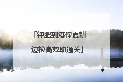 钾肥到港保夏耕 边检高效助通关