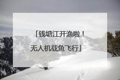 钱塘江开渔啦！无人机载鱼飞行