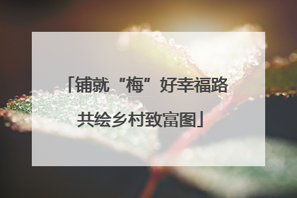 铺就“梅”好幸福路 共绘乡村致富图