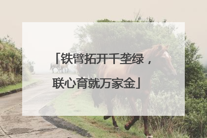 铁臂拓开千垄绿，联心育就万家金