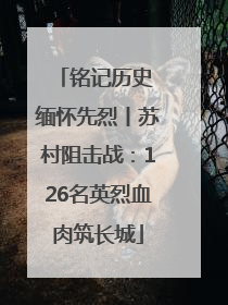 铭记历史 缅怀先烈丨苏村阻击战：126名英烈血肉筑长城