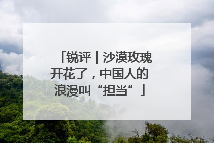 锐评｜沙漠玫瑰开花了，中国人的浪漫叫“担当”
