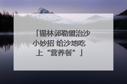 锡林郭勒盟治沙小妙招 给沙地吃上“营养餐”