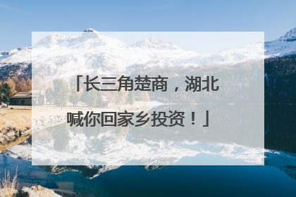 长三角楚商，湖北喊你回家乡投资！