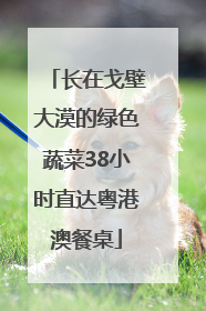 长在戈壁大漠的绿色蔬菜38小时直达粤港澳餐桌
