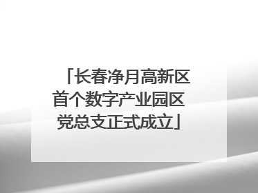 长春净月高新区首个数字产业园区党总支正式成立