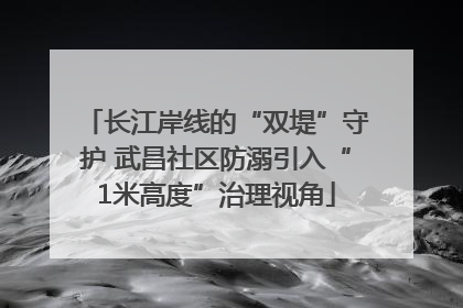 长江岸线的“双堤”守护 武昌社区防溺引入“1米高度”治理视角