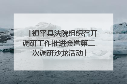镇平县法院组织召开调研工作推进会暨第二次调研沙龙活动
