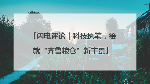 闪电评论｜科技执笔，绘就“齐鲁粮仓”新丰景