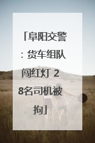 阜阳交警：货车组队闯红灯 28名司机被拘