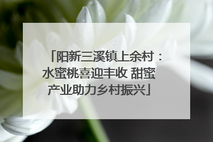 阳新三溪镇上余村：水蜜桃喜迎丰收 甜蜜产业助力乡村振兴