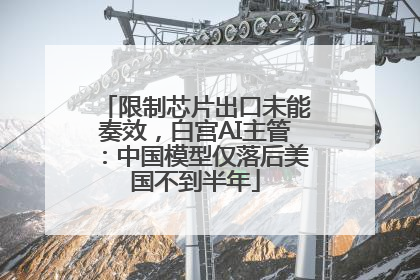 限制芯片出口未能奏效，白宫AI主管：中国模型仅落后美国不到半年
