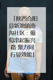 陕西合阳县新池镇南沟社区：葡萄串起振兴路 聚力同行显效能