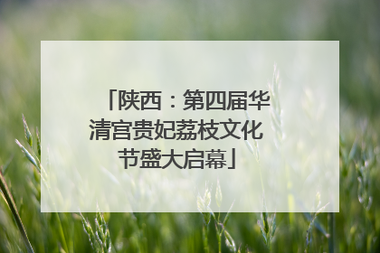 陕西：第四届华清宫贵妃荔枝文化节盛大启幕