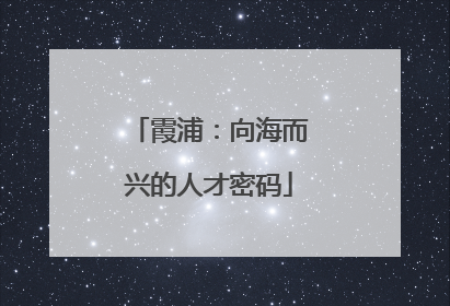 霞浦：向海而兴的人才密码