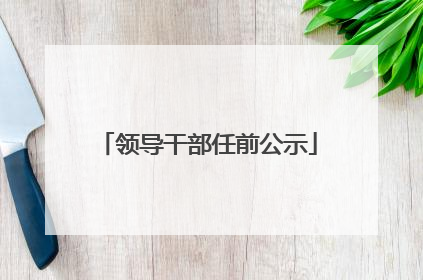 领导干部任前公示