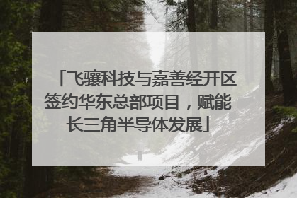 飞骧科技与嘉善经开区签约华东总部项目，赋能长三角半导体发展