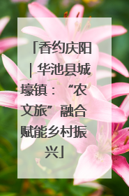 香约庆阳｜华池县城壕镇：“农文旅”融合赋能乡村振兴
