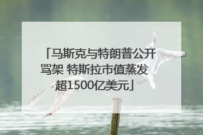 马斯克与特朗普公开骂架 特斯拉市值蒸发超1500亿美元