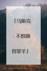 马斯克：不想做替罪羊