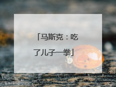 马斯克：吃了儿子一拳