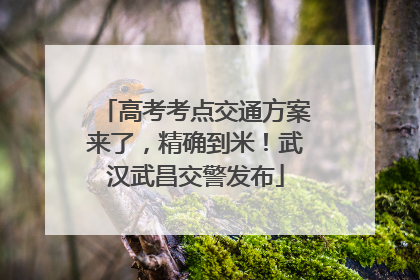 高考考点交通方案来了，精确到米！武汉武昌交警发布