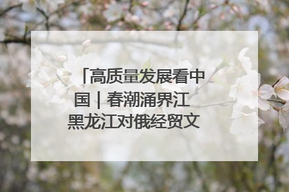 高质量发展看中国｜春潮涌界江 黑龙江对俄经贸文旅交流绿意盎然