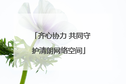 齐心协力 共同守护清朗网络空间