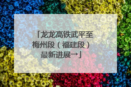 龙龙高铁武平至梅州段（福建段）最新进展→