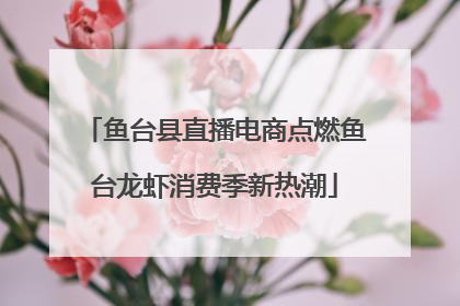 鱼台县直播电商点燃鱼台龙虾消费季新热潮
