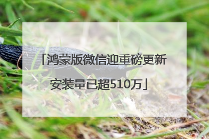 鸿蒙版微信迎重磅更新 安装量已超510万