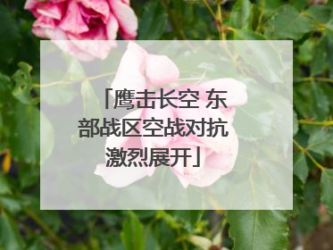 鹰击长空 东部战区空战对抗激烈展开