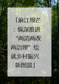 麻江坝芒：纵深推进“两清两改两治理”绘就乡村振兴新图景
