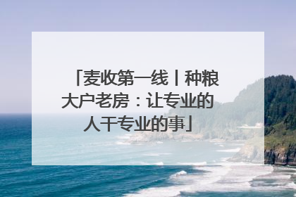 麦收第一线丨种粮大户老房：让专业的人干专业的事