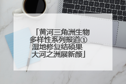 黄河三角洲生物多样性系列报道①湿地修复结硕果 大河之洲展新颜