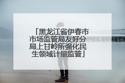 黑龙江省伊春市市场监管局友好分局上甘岭所强化民生领域计量监管