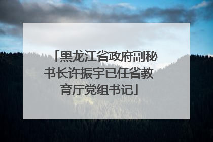 黑龙江省政府副秘书长许振宇已任省教育厅党组书记