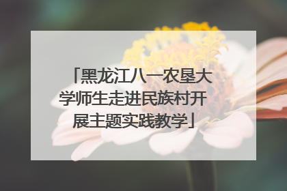 黑龙江八一农垦大学师生走进民族村开展主题实践教学