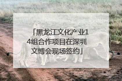 黑龙江文化产业14组合作项目在深圳文博会现场签约