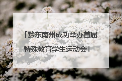 黔东南州成功举办首届特殊教育学生运动会
