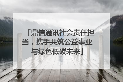 鼎信通讯社会责任担当，携手共筑公益事业与绿色低碳未来
