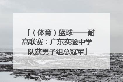 （体育）篮球——耐高联赛：广东实验中学队获男子组总冠军