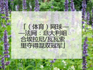 （体育）网球——法网：意大利组合埃拉尼/瓦瓦索里夺得混双冠军