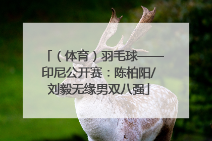 （体育）羽毛球——印尼公开赛：陈柏阳/刘毅无缘男双八强