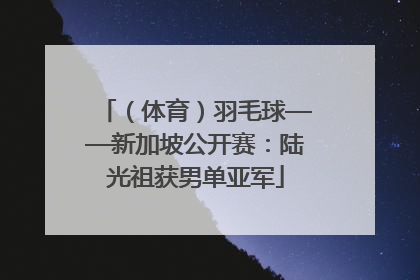 （体育）羽毛球——新加坡公开赛：陆光祖获男单亚军